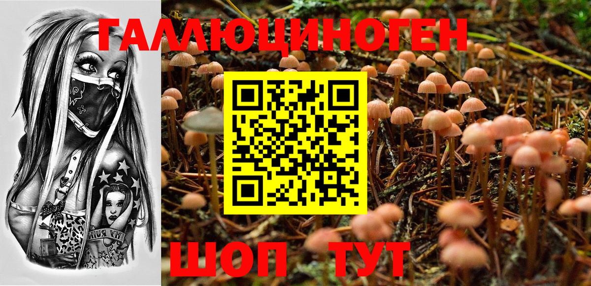 Псилоцибиновые грибы Cubensis  Псилоцибиновые грибы Psilocybine cubensis  Вход с VPN  Димитровград 