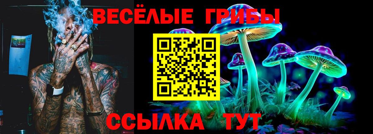 Псилоцибиновые грибы MAGIC MUSHROOMS Димитровград